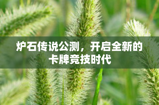 开启全新的卡牌竞技时代图片