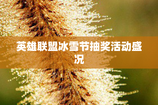 英雄联盟冰雪节抽奖活动盛况图片