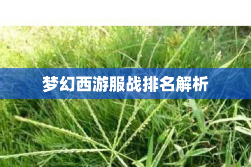 梦幻西游服战排名解析图片