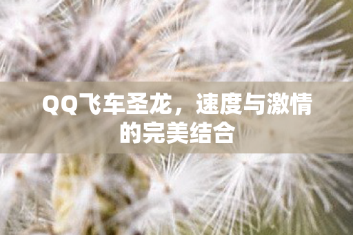 速度与激情的完美结合图片
