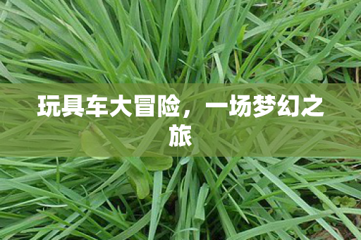 玩具车大冒险图片