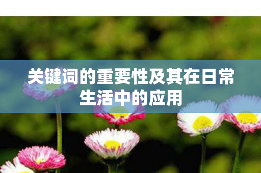 关键词的重要性及其在日常生活中的应用图片