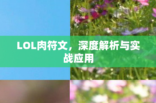 深度解析与实战应用图片