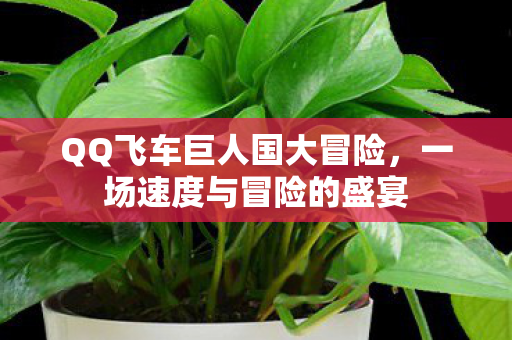 QQ飞车巨人国大冒险图片