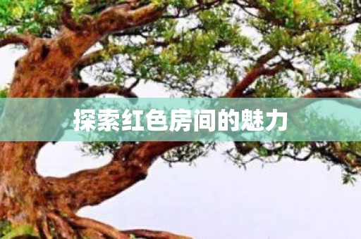 探索红色房间的魅力图片