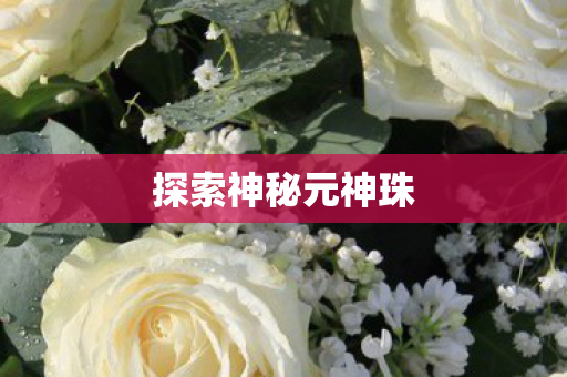 探索神秘元神珠图片