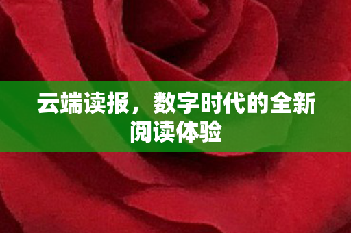 数字时代的全新阅读体验图片