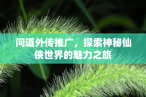 探索神秘仙侠世界的魅力之旅图片