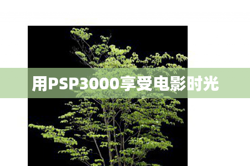 用PSP3000享受电影时光图片
