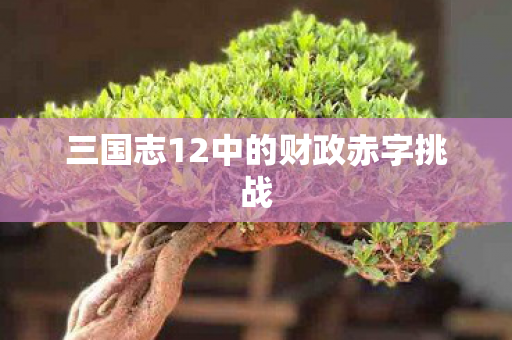 三国志12中的财政赤字挑战图片