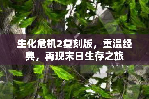 生化危机2复刻版图片