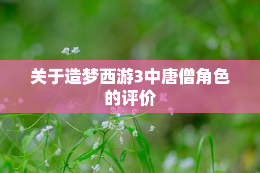 关于造梦西游3中唐僧角色的评价图片