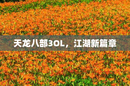 天龙八部3OL图片