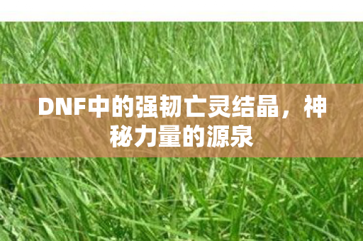 DNF中的强韧亡灵结晶图片