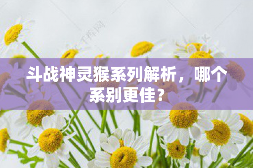 斗战神灵猴系列解析图片
