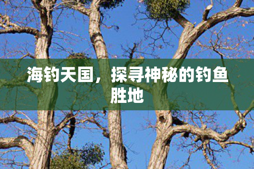 探寻神秘的钓鱼胜地图片