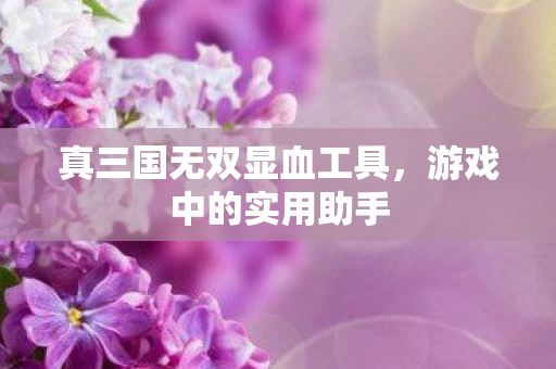 真三国无双显血工具图片