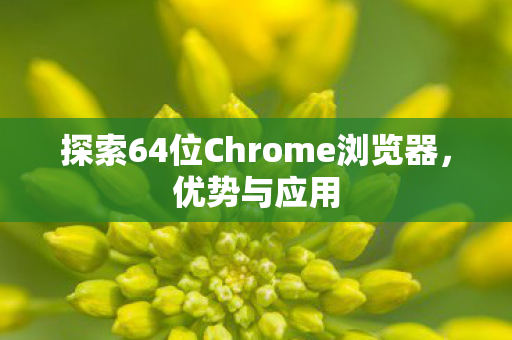 探索64位Chrome浏览器图片