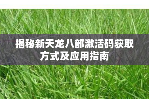 揭秘新天龙八部激活码获取方式及应用指南图片