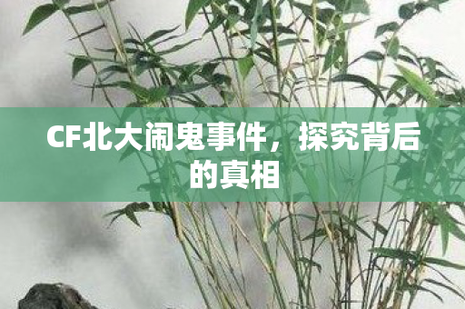 CF北大闹鬼事件图片