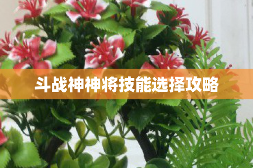斗战神神将技能选择攻略图片