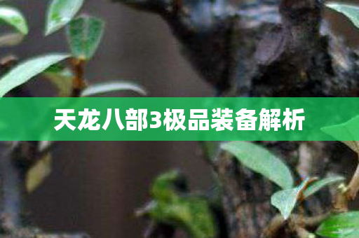 天龙八部3极品装备解析图片