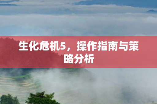 操作指南与策略分析图片