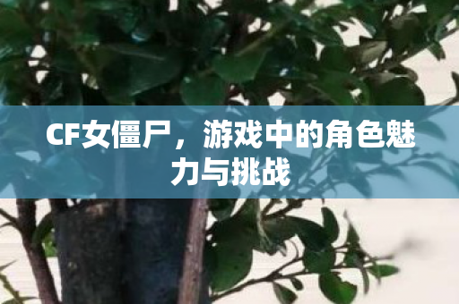游戏中的角色魅力与挑战图片