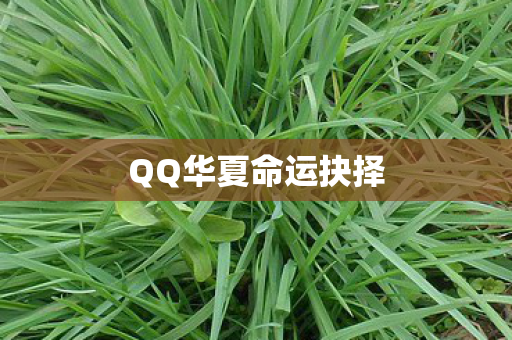 QQ华夏命运抉择图片