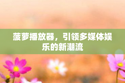 引领多媒体娱乐的新潮流图片