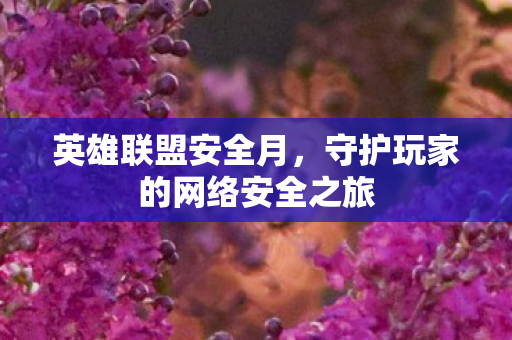 守护玩家的网络安全之旅图片