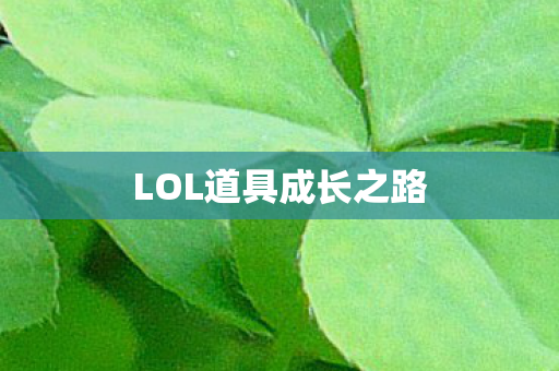 LOL道具成长之路图片