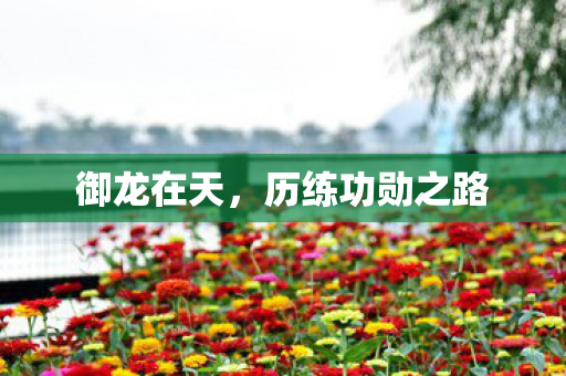 历练功勋之路图片