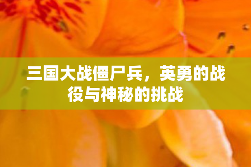 英勇的战役与神秘的挑战图片
