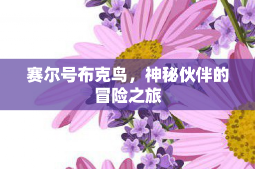 神秘伙伴的冒险之旅图片