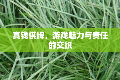 游戏魅力与责任的交织图片