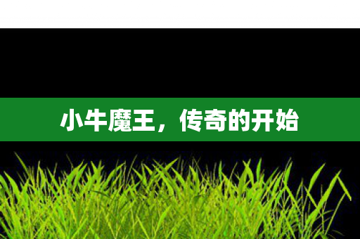 传奇的开始图片