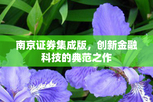 创新金融科技的典范之作图片