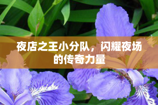 闪耀夜场的传奇力量图片