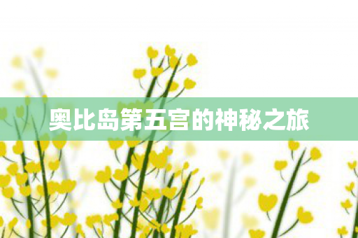 奥比岛第五宫的神秘之旅图片