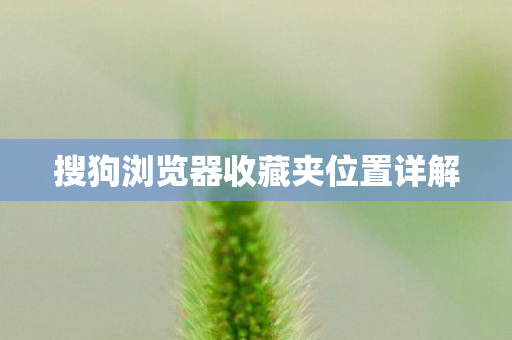 搜狗浏览器收藏夹位置详解图片