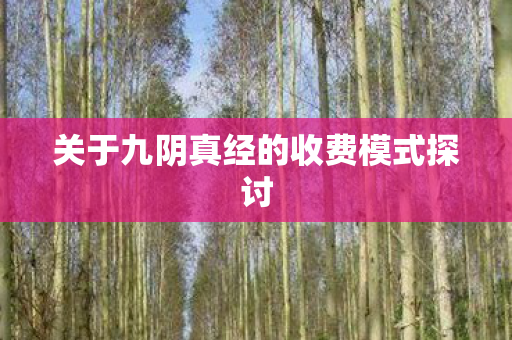 关于九阴真经的收费模式探讨图片