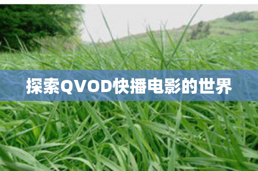 探索QVOD快播电影的世界图片