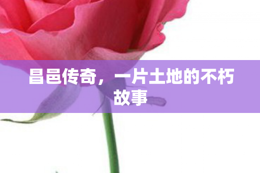 一片土地的不朽故事图片
