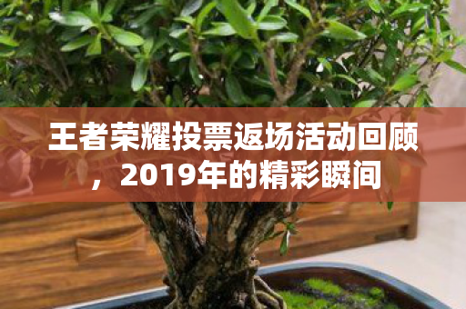 王者荣耀投票返场活动回顾图片