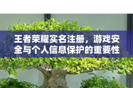 游戏安全与个人信息保护的重要性图片