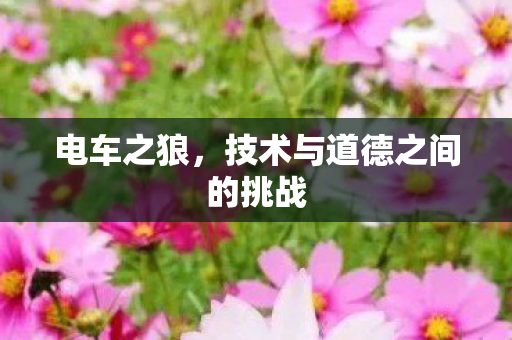 技术与道德之间的挑战图片