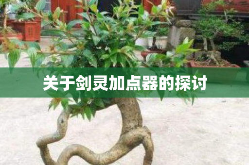 关于剑灵加点器的探讨图片