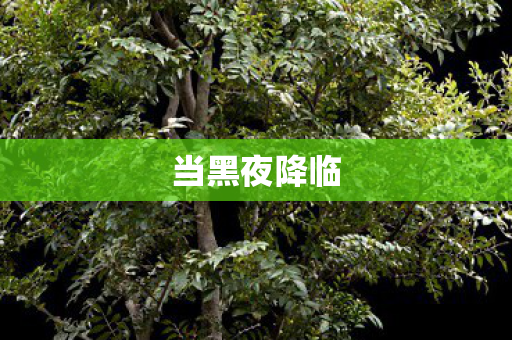 当黑夜降临图片