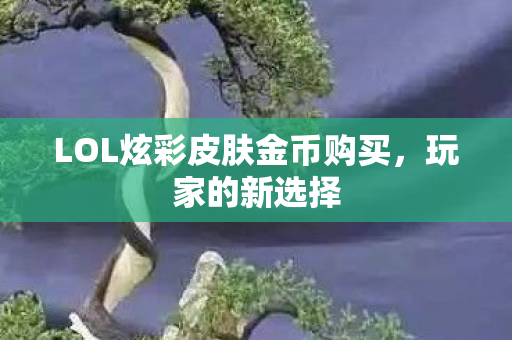 LOL炫彩皮肤金币购买图片